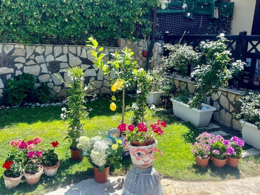 Villa Eco-Chic カリーニ エクステリア 写真